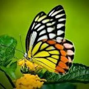 Meet your Posher, Holly